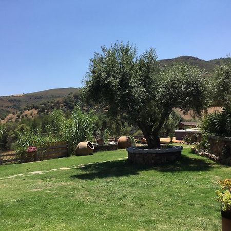 Bed and Breakfast Il Giardino Di Daniela Сан-Теодоро Экстерьер фото